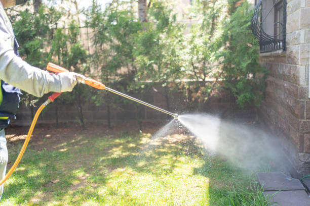 Lawn Pest Control in Victoria, VA